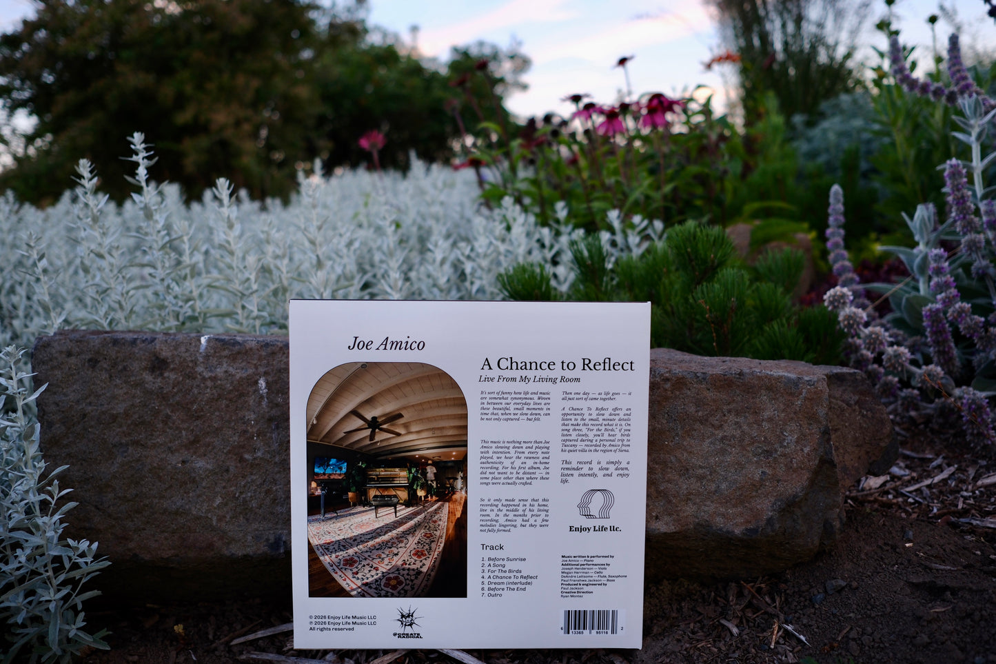 A Chance To Reflect — Vinyl LP
