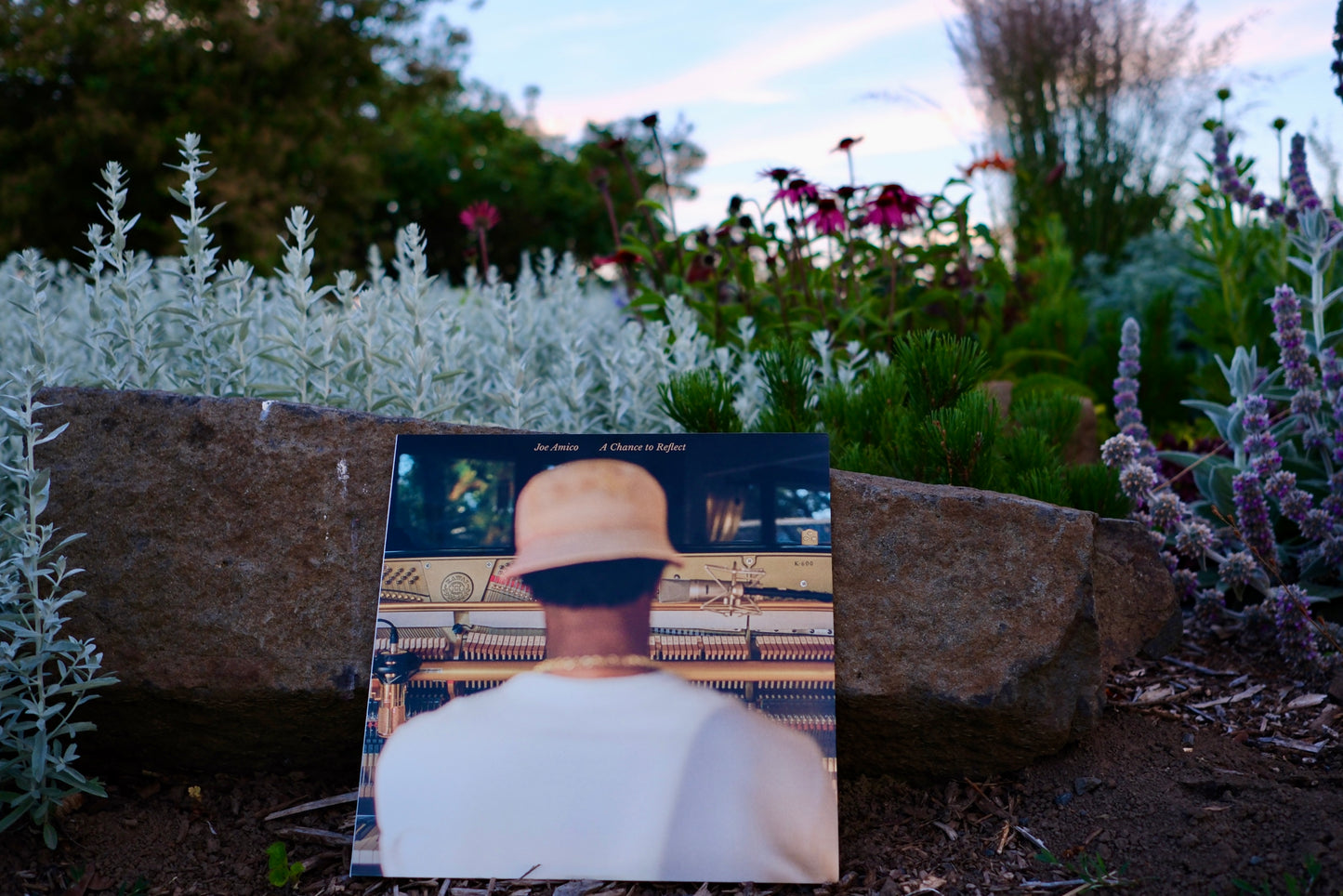 A Chance To Reflect — Vinyl LP